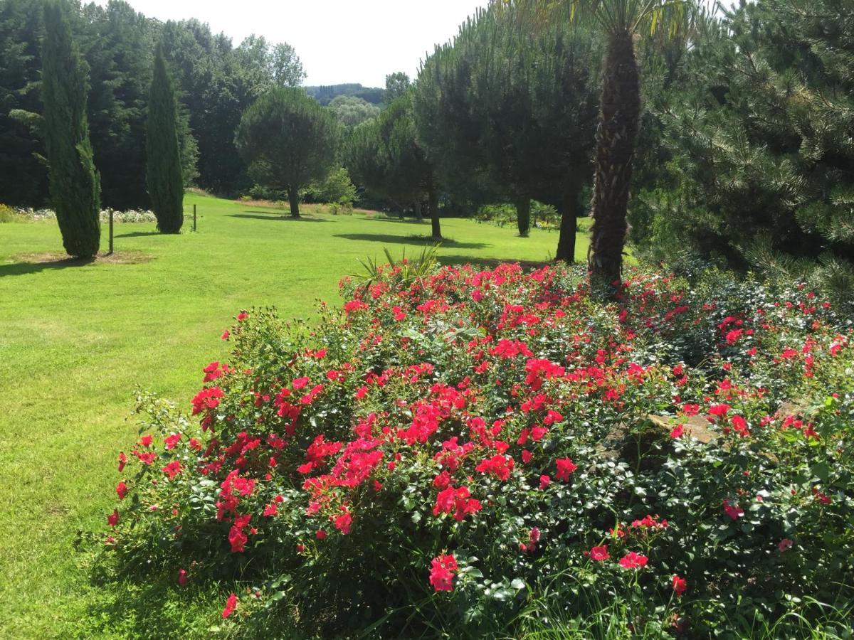 Villa Montana جيرادسبرجن المظهر الخارجي الصورة