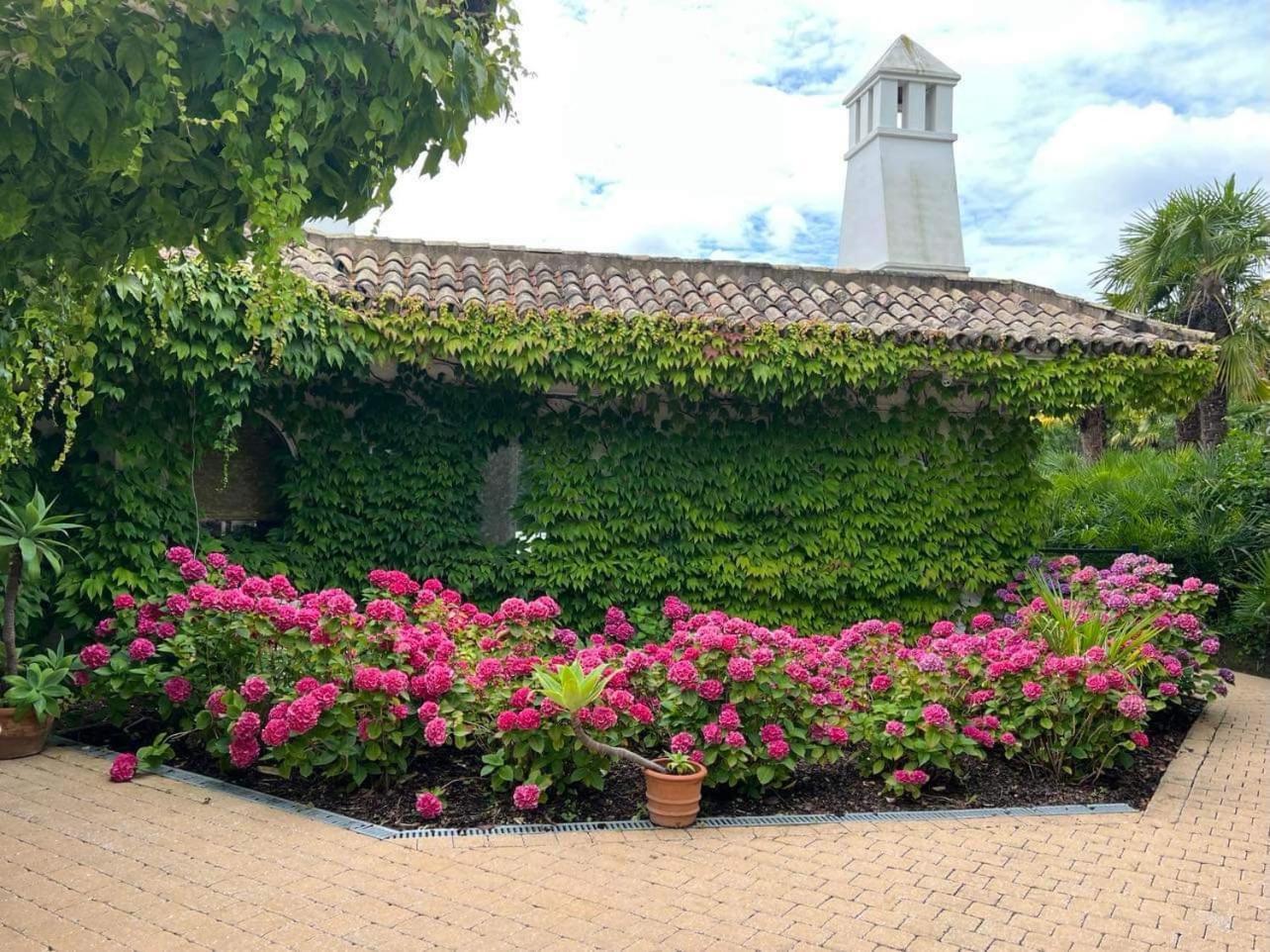 Villa Montana جيرادسبرجن المظهر الخارجي الصورة